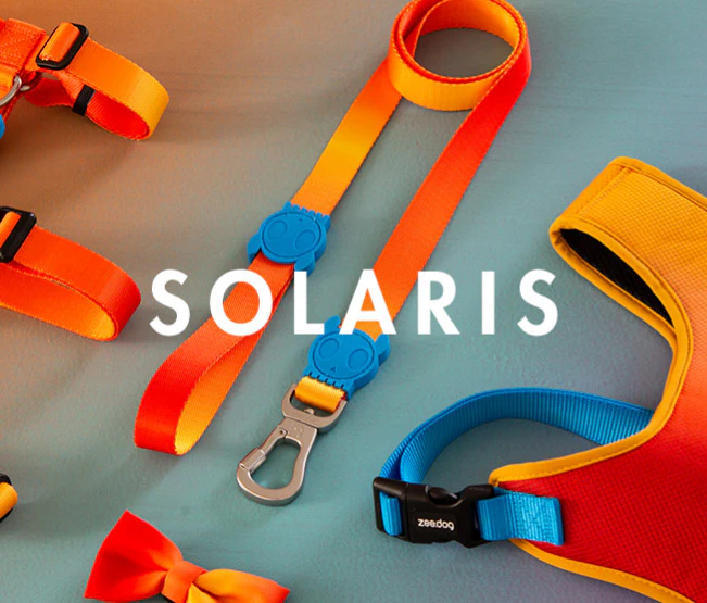 ZEE.DOG CORREA SOLARIS LEASH - Imagen 4